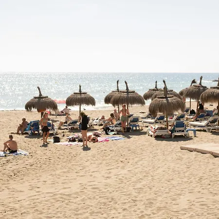 Charming First Line Estudio In Marbella